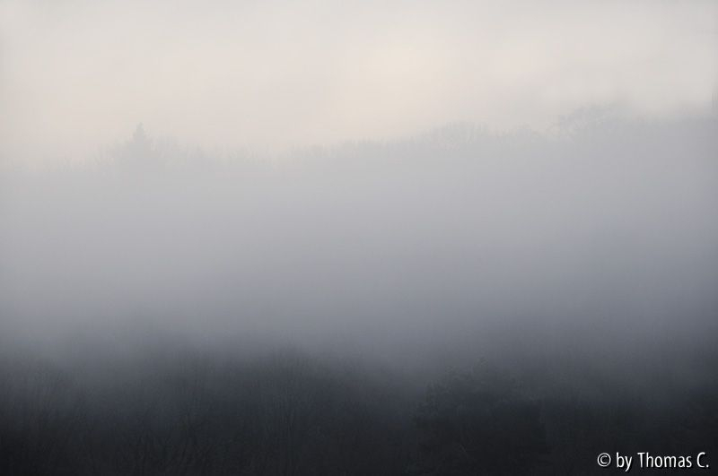 Dezembermorgen
