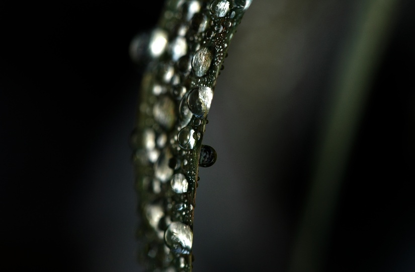 Eistropfen 2 23-12-2007
