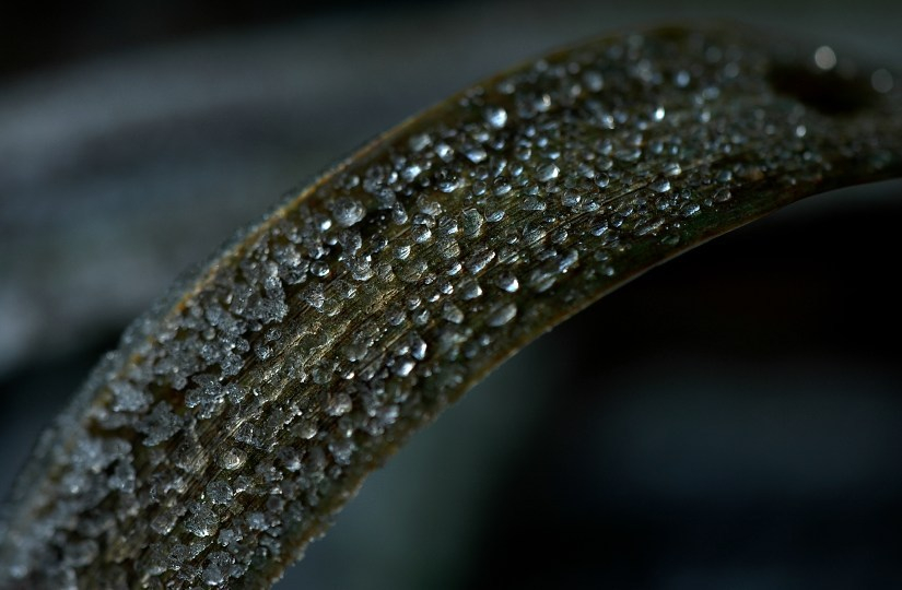 Eistropfen 4 23-12-2007