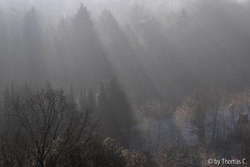 Dezembersonne 06