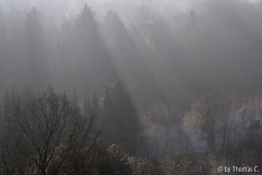 Dezembersonne 06