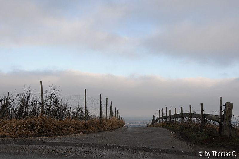 Bei Roisdorf