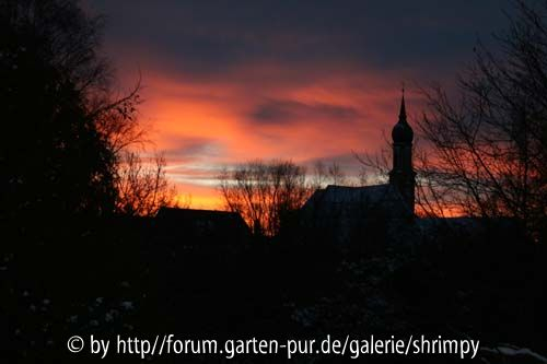 morgens