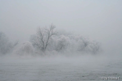 Donauzauber bearbeitet 1