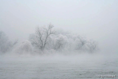 Donauzauber bearbeitet 2