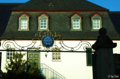 Lokalollorit Bürvenich 2 2008