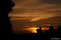 Sonnenaufgang Anfang Januar