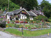 GartenLochLomond