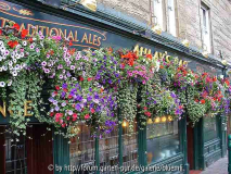 Oban Pub