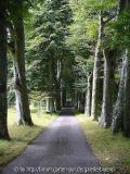 Zufahrt_DrummondGarden
