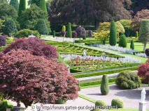 DrummondGarden