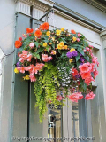 HangingBasket