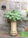 Hauseingang