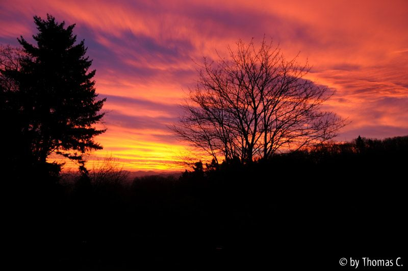 Sonnenaufgang Januar 03
