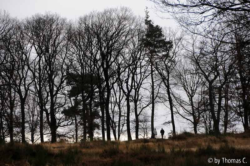 Wahner Heide 03