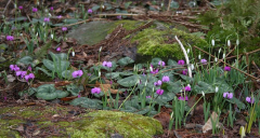 Januar 2008