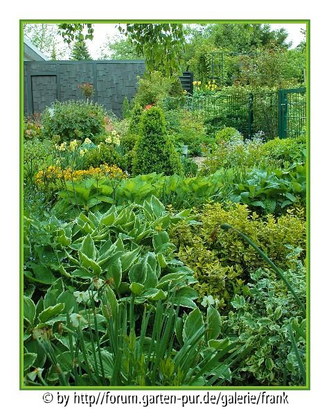 Different shades of Green