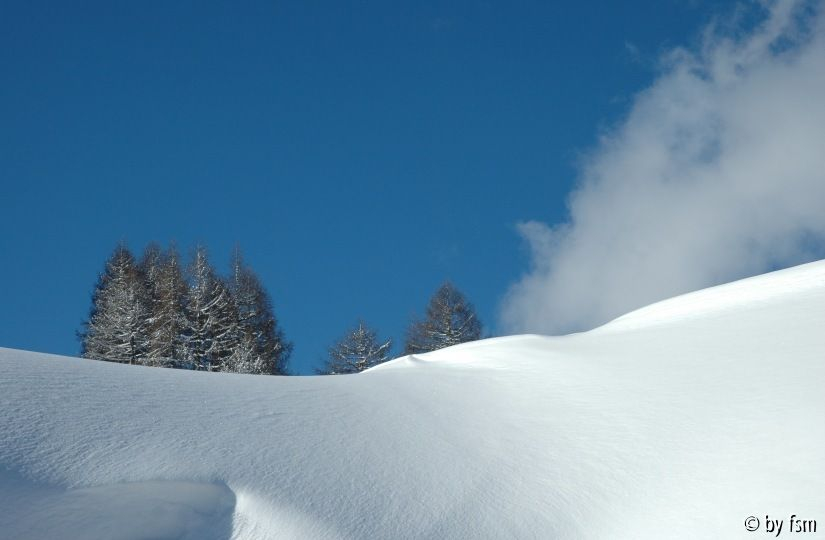 Flachauwinkel  1