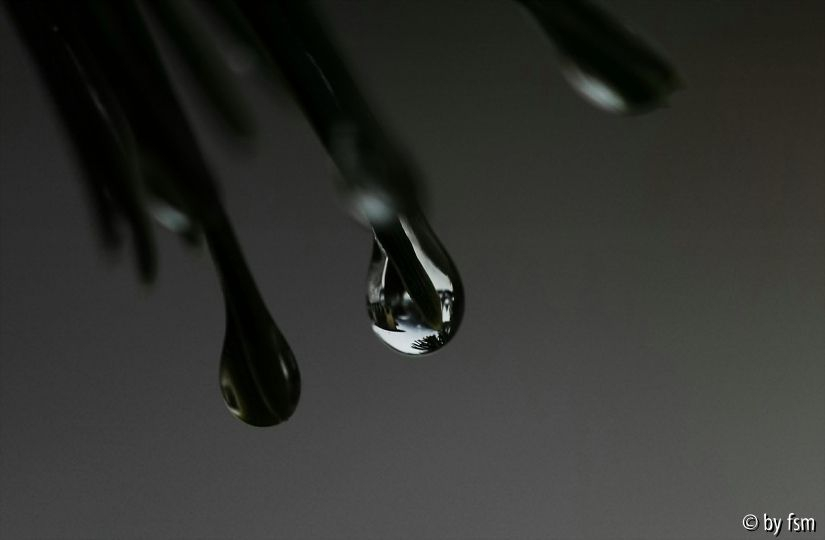Flachauwinkel  4