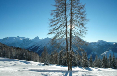 Flachauwinkel  8