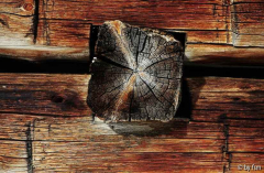 Flachauwinkel 19