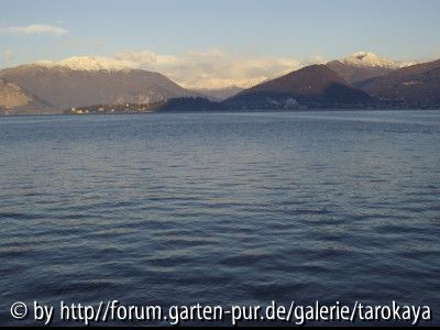 lago maggiore laveno
