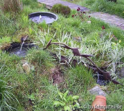wasserspiel