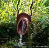 wasserspeier