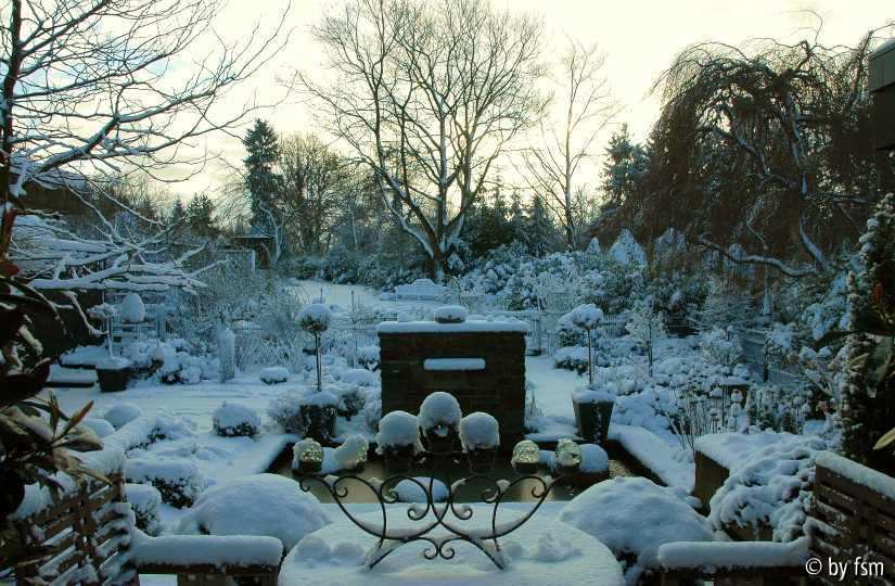 Garten im Februar 1