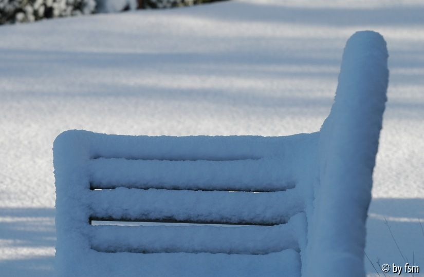 Garten im Februar 2