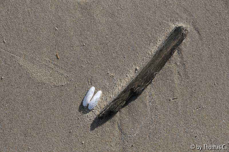 Nordsee 02
