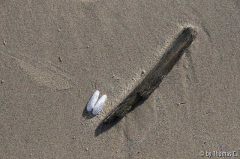 Nordsee 02