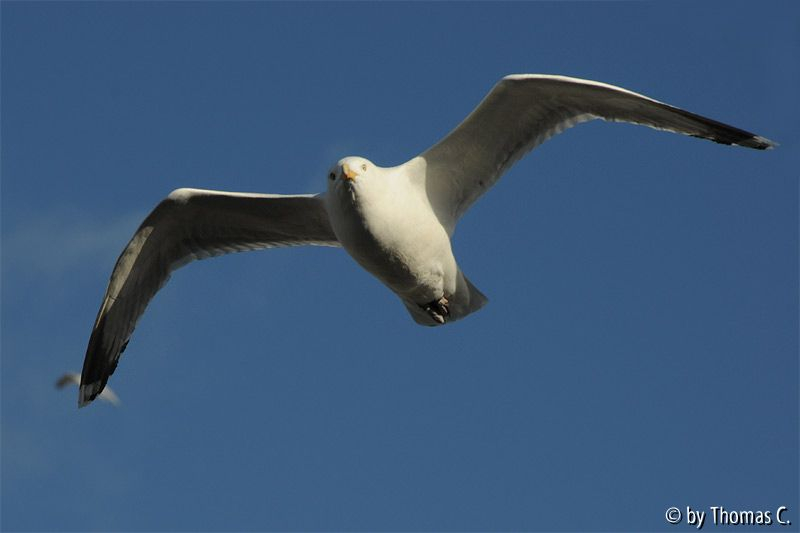 Nordsee 03
