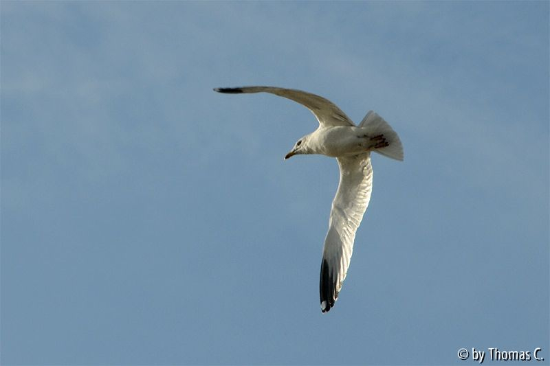 Nordsee 05