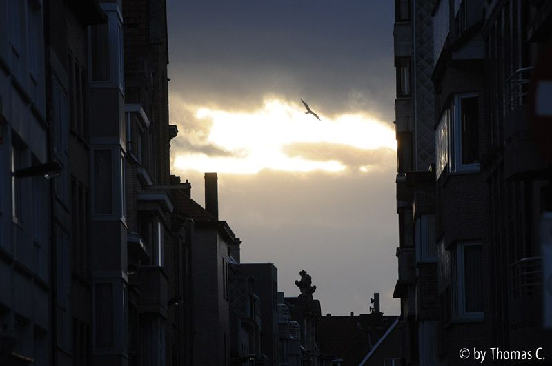 Nordsee 08