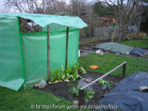tomatenhaus.jpg