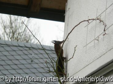 Ähh- wo willste eigentlich hin?