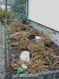 neues weisses Beet im Überblick