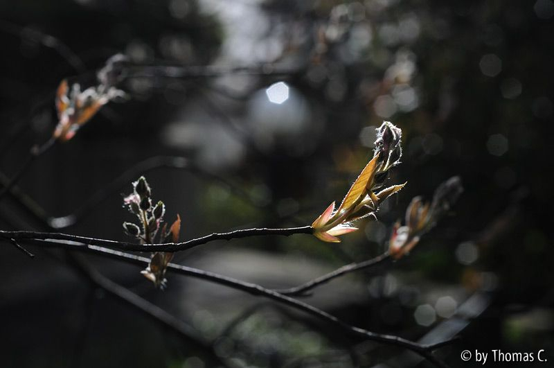 Sonne und Wind 01