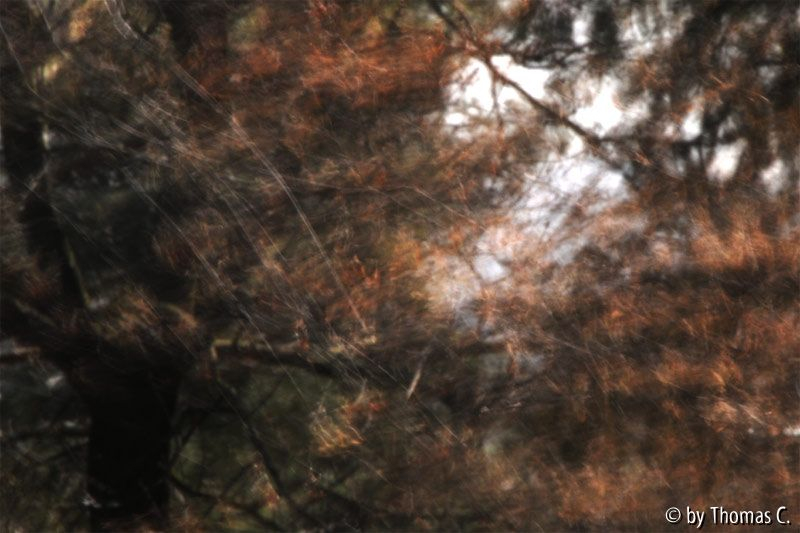 Sonne und Wind 03