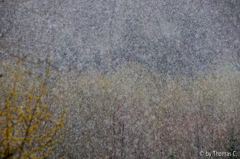 Schneegestöber im März 01