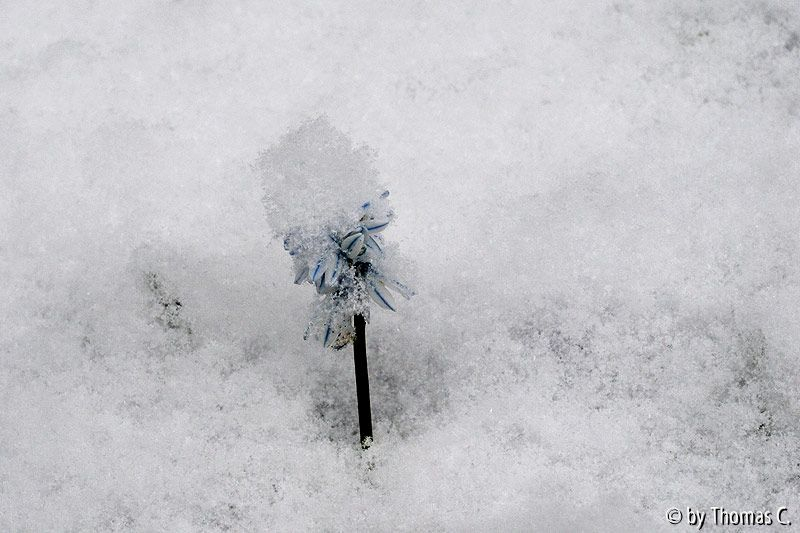 Schnee-Ostern 01