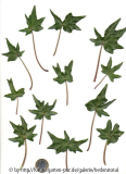 '