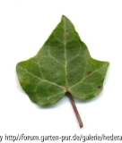 '