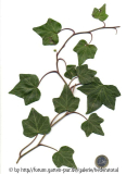 '