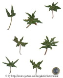 '
