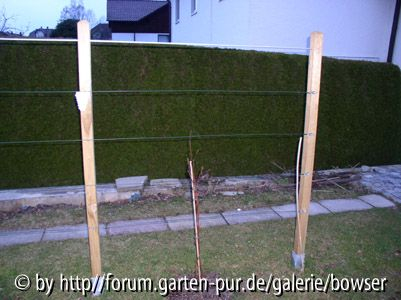 Spalier