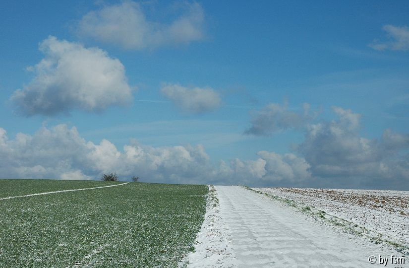 Feldansichten 1