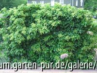 24_mai_07_1.jpg