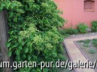 24_mai_07.jpg